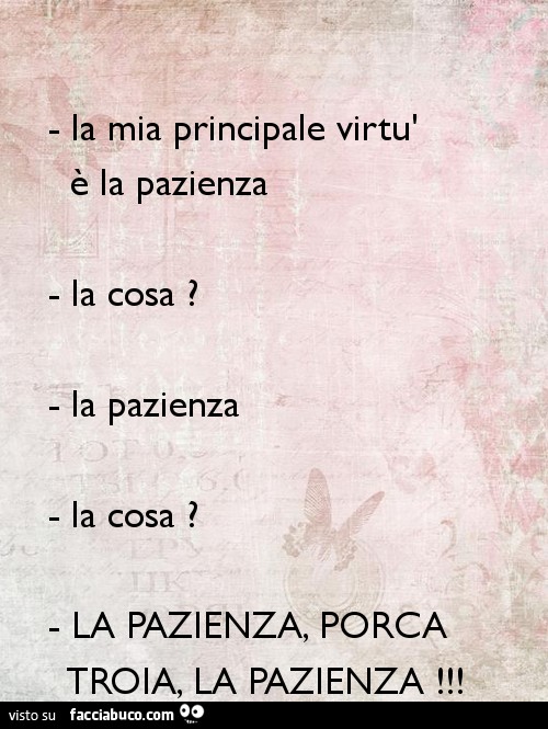 La mia principale virtù è la pazienza. La cosa? La pazienza. La cosa? La pazienza porca troia, la pazienza