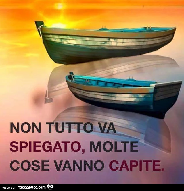 Non tutto va spiegato, molte cose vanno capite