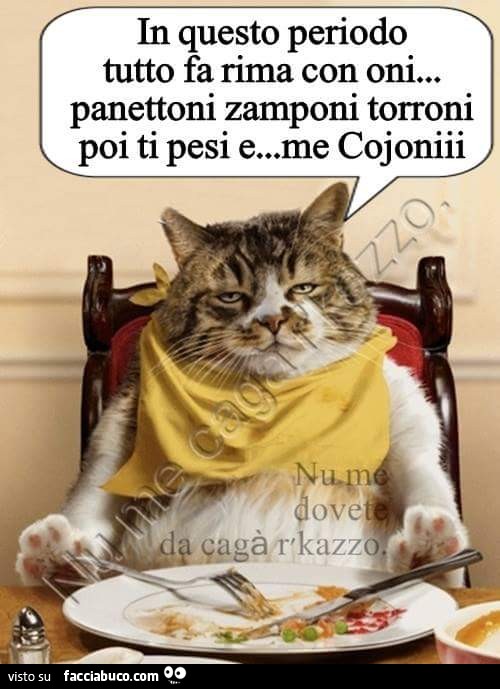 In questo periodo tutto fa rima con oni. Panettoni, zamponi, torroni… poi ti pesi e me cojoni