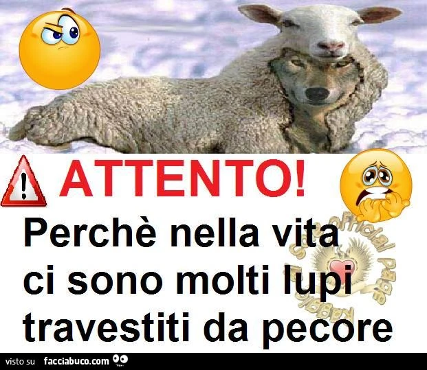 Attento perchè nella vita ci sono molti lupi travestiti da pecore