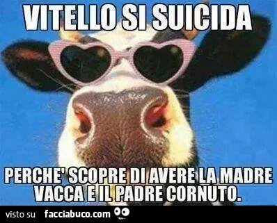 Vitello si suicida perchè scopre di avere la madre vacca e il padre cornuto