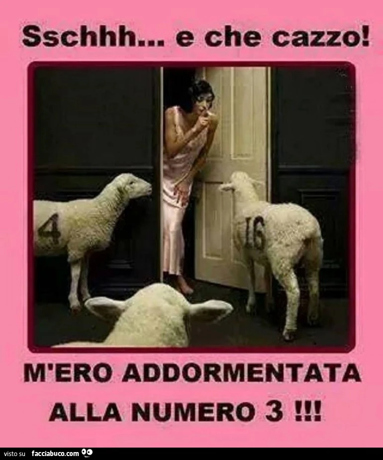Sschhh e che cazzo! M'ero addormentata alla numero 3