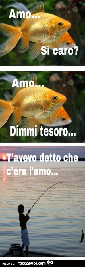 Tra pesci: amo... dimmi tesoro... ti avevo detto che c'era l'amo!
