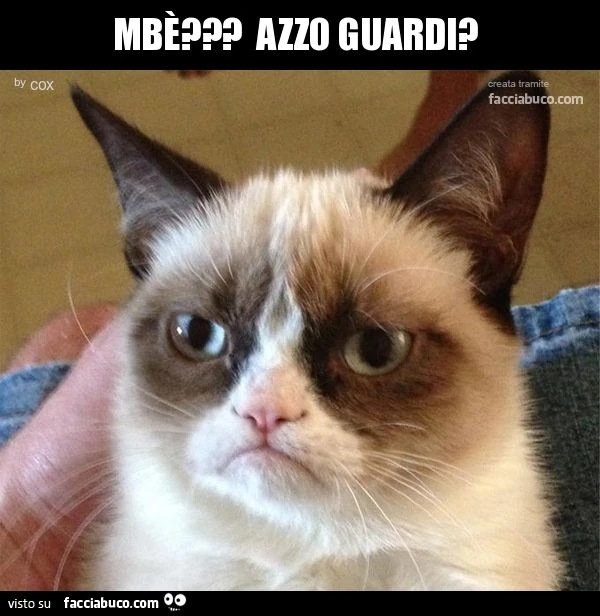 mbè??? azzo guardi?
