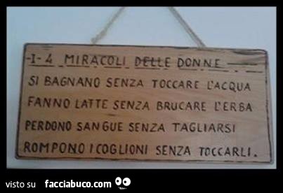 I 4 miracoli delle donne: si bagnano senza toccare l'acqua. Fanno latte senza brucare l'erba. Perdono sangue senza tagliarsi. Rompono i coglioni senza toccarli