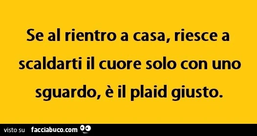 Se al rientro a casa, riesce a scaldarti il cuore solo con uno sguardo, è il plaid giusto