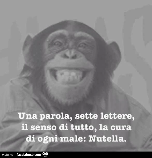 una parola, sette lettere, il senso di tutto, la cura di ogni male: Nutella