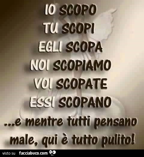 Io scopo, tu scopi, egli scopa, noi scopiamo, voi scopate, essi scopano. E mentre tutti pensano male, qui è tutto pulito