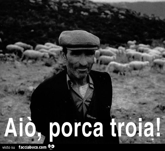 Aiò, porca troia
