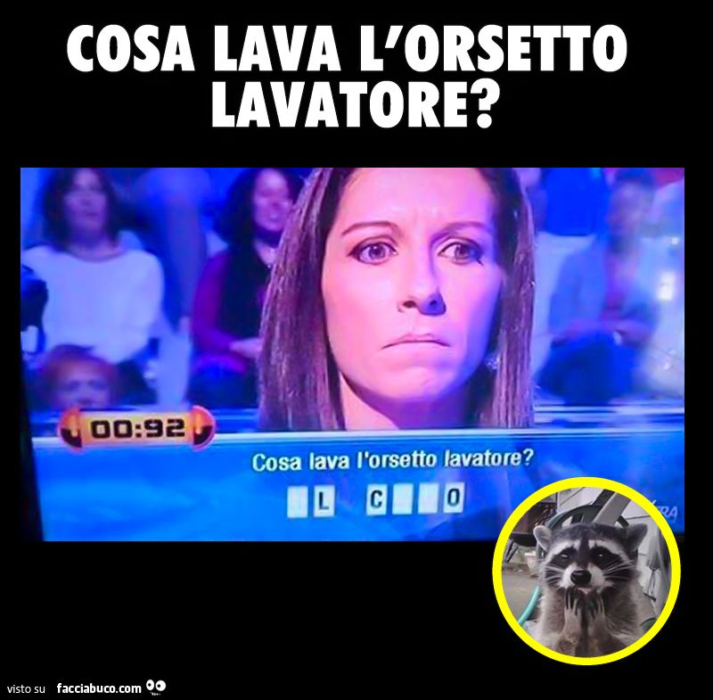 Cosa lava l'orsetto lavatore?