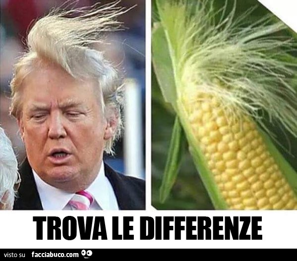 Trova le differenze tra Donald Trump e una pannocchia di mais