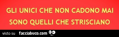 Gli unici che non cadono mai sono quelli che strisciano