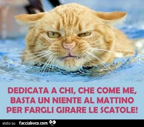 Dedicata a chi, che come me, basta un niente al mattino per fargli girare le scatole
