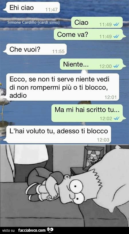 Ehi ciao. Ciao. Come va? Che vuoi? Niente. Ecco, se non ti serve niente vedi di non rompermi più o ti blocco. Ma mi hai scritto tu. L'hai voluto tu adesso ti blocco