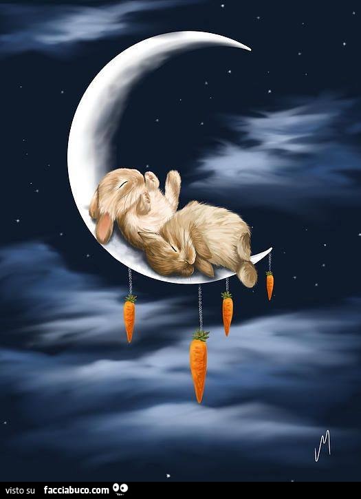Coniglietti dormono sulla mezza luna