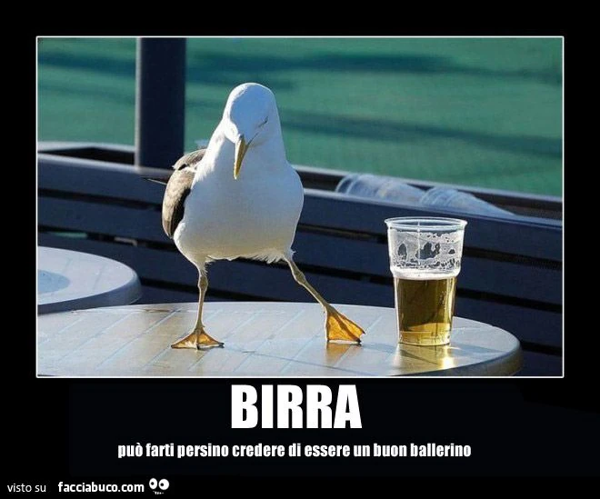 la birra può farti persino credere di essere un buon ballerino