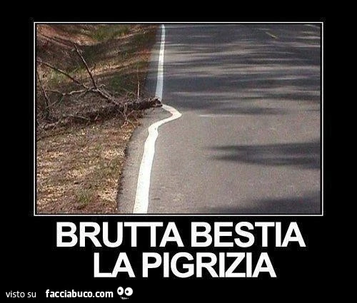 Brutta bestia la pigrizia