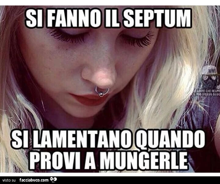 Si fanno il septum, si lamentano quando provi a mungerle