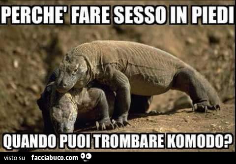 Perchè fare sesso in piedi quando puoi trombare komodo?