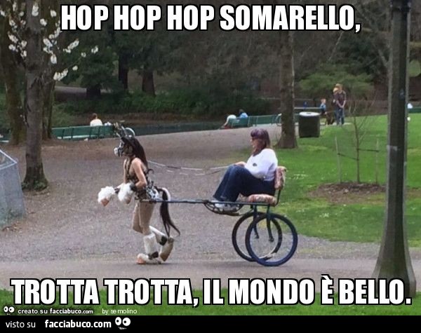 Hop hop hop somarello, trotta trotta, il mondo è bello