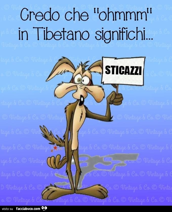 Credo che ohm in Tibetano significhi sticazzi