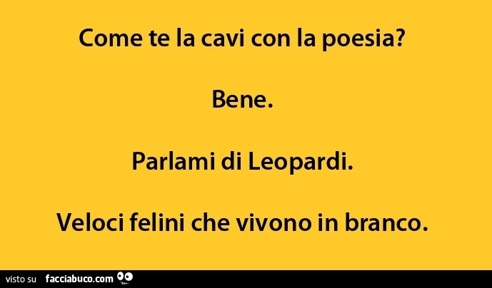 Come te la cavi con la poesia? Bene. Parlami di Leopardi. Veloci felini che vivono in branco