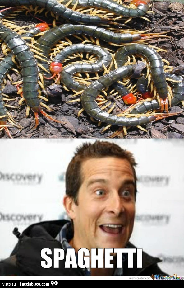 Bear Grylls: spaghetti