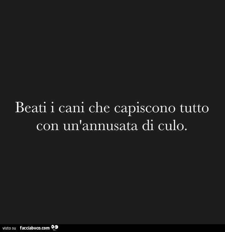 Beati i cani che capiscono tutto con un'annusata di culo