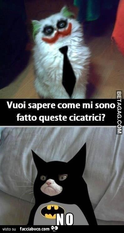 Vuoi sapere come mi sono fatto queste cicatrici? No