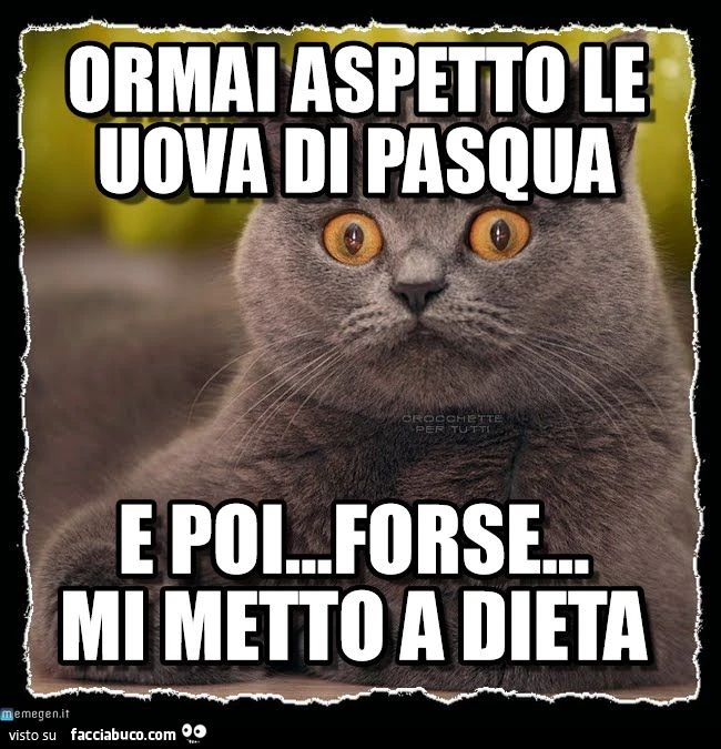 ormai aspetto le uova di pasqua e poi forse mi metto a dieta