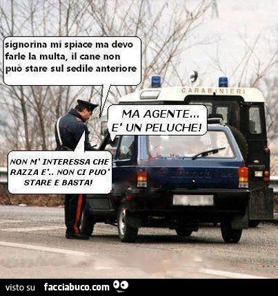 carabinieri la multano per colpa di un peluche barzelletta