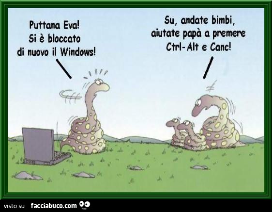 Puttana Eva! Si è bloccato di nuovo il Windows. Su, andate bimbi, aiutate papà a premere CTRL ALT e CANC