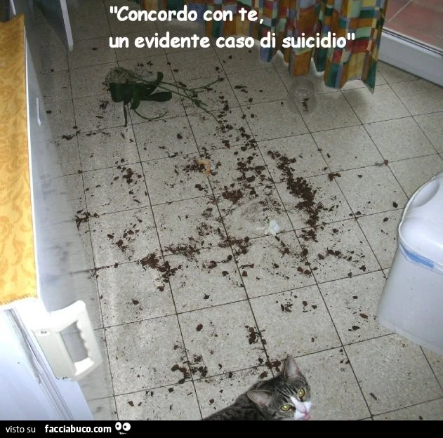 Morte di un'orchidea. Concordo con te, un evidente caso di suicidio