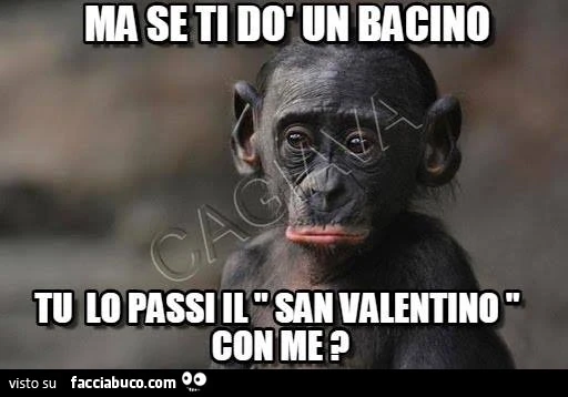 Ma se ti do un bacino tu lo passi il San Valentino con me?