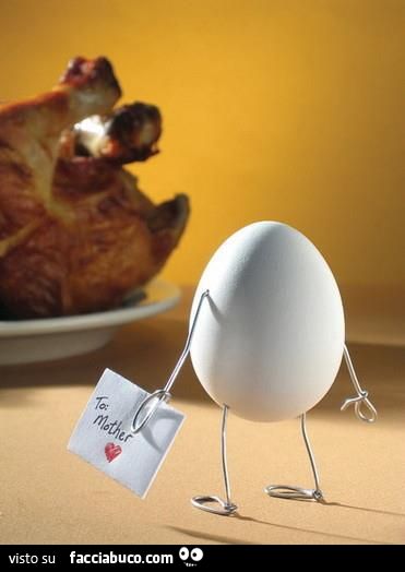 uovo cerca la mamma che è stata cucinata