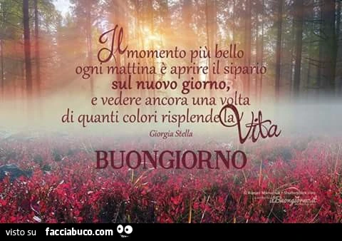 Il momento più bello ogni mattina è aprire il sipario sul nuovo giorno, e vedere ancora una volta di quanti colori risplende la vita. Buongiorno
