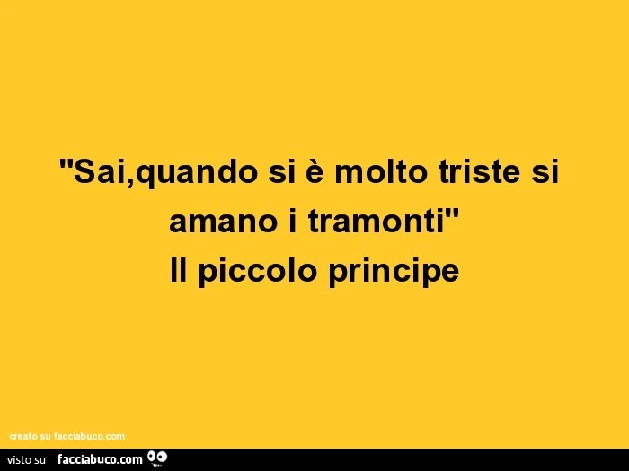 "sai,quando si è molto triste si amano i tramonti" il piccolo principe