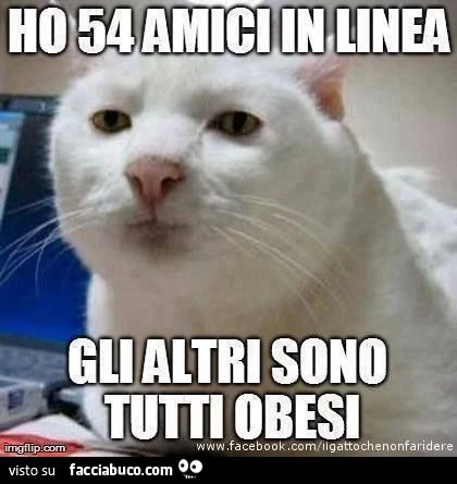 Ho 54 amici in linea, gli altri sono tutti obesi