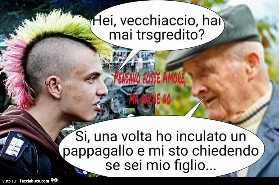 Vaccata