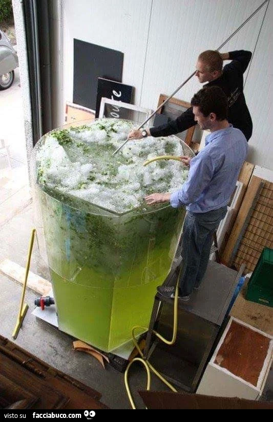 Mojito gigante