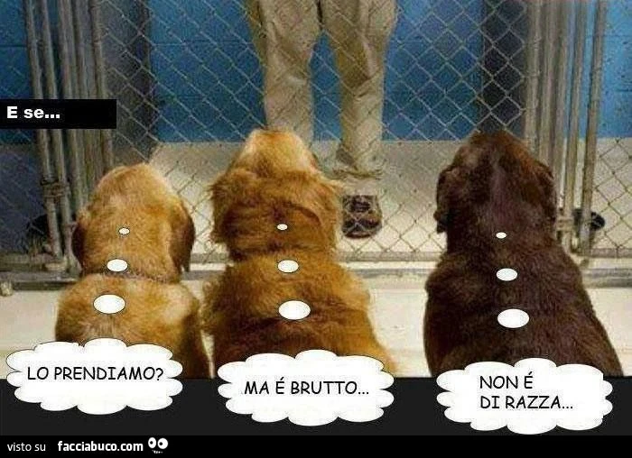E se fossero i cani a scegliere?