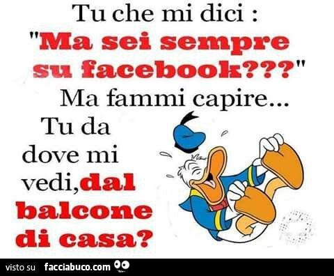 Tu che mi dici: ma sei sempre su facebook? Ma fammi capire tu da dove mi vedi, dal balcone di casa?