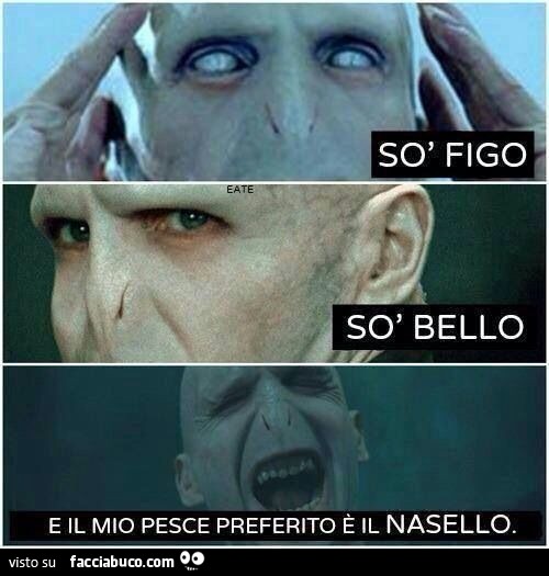 Voldemort: so figo, so bello e il mio pesce preferito è il nasello