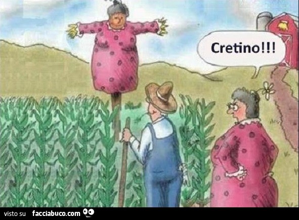 Spaventapasseri uguale alla moglie per spaventare gli uccelli. Cretino