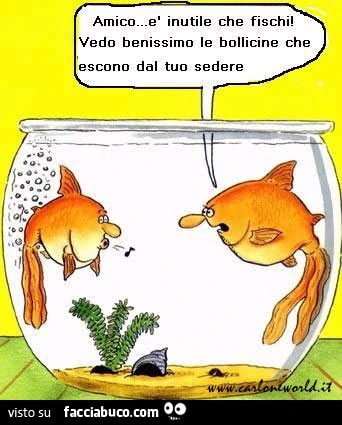 Amico è inutile che fischi, vedo benissimo le bollicine che escono dal tuo sedere