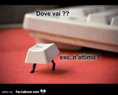 Dove vai? Esc&hellip;n'attimo