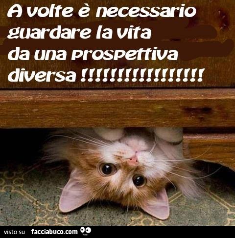 A volte è necessario guardare la vita da una prospettiva diversa