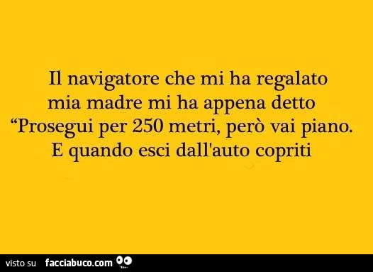 Il navigatore che mi ha regalato mia madre mi ha appena detto: prosegui per 250 metri, però vai piano. E quando esci dall'auto copriti
