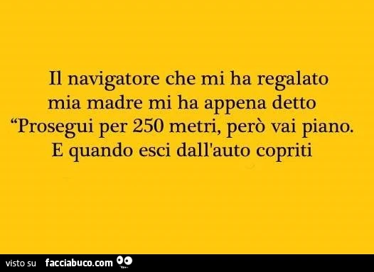 Il navigatore che mi ha regalato mia madre mi ha appena detto: prosegui per 250 metri, però vai piano. E quando esci dall'auto copriti