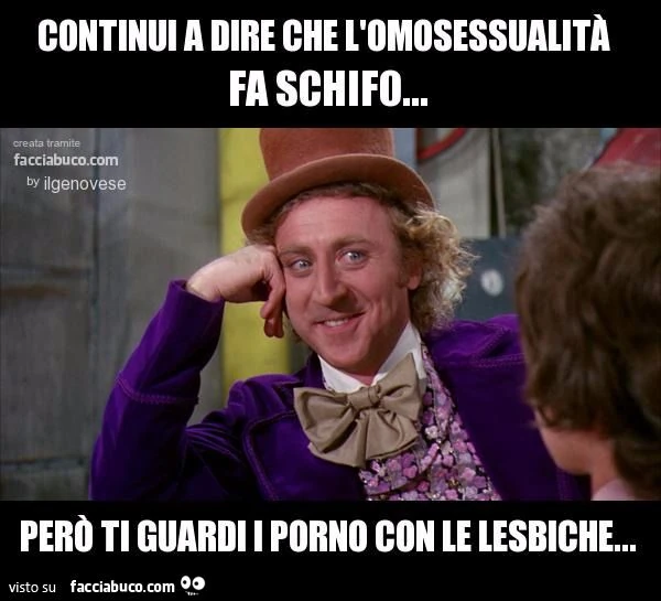 continui a dire che l'omosessualità fa schifo però ti guardi i porno con le lesbiche